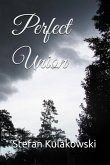 Perfect Union (eBook, ePUB) Perfect Union (eBook, ePUB)