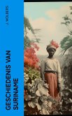 Geschiedenis van Suriname (eBook, ePUB)