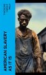 American Slavery as It is (eBook, ePUB) - Bild 1
