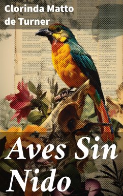 Aves Sin Nido (eBook, ePUB) - Matto de Turner, Clorinda