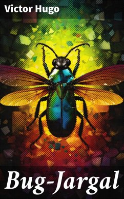 Cover Bug-Jargal (eBook, ePUB)