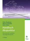 Handbuch Akupunktur (eBook, PDF)