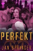 Perfekt (Perfect, #1) (eBook, ePUB)