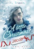 A little Christmas! (eBook, ePUB)