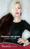 Vlamme van gister (eBook, ePUB)