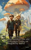 Lukas, Tom, der verschwundene Opa und die verborgene Treppe ins magische Land (eBook, ePUB)