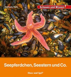 Seepferdchen, Seestern und Co. - Rath, Barbara