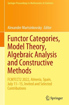 Functor Categories, Model Theory, Algebraic Analysis and Constructive Methods