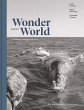 Wonder and the World - Bild 1