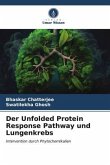 Der Unfolded Protein Response Pathway und Lungenkrebs