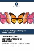 Inwieweit sind Wirtschaftsprüfer schuldig?