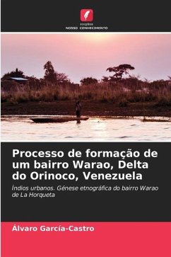 Processo de formação de um bairro Warao, Delta do Orinoco, Venezuela - García-Castro, Alvaro