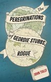The Peregrinations of Geordie Stubbs, Rogue (eBook, ePUB)