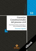 Garantías Constitucionales del proceso civil (eBook, ePUB)
