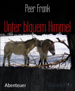 Unter blauem Himmel (eBook, ePUB) - Frank, Peer