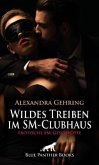 Wildes Treiben im SM-Clubhaus   Erotische SM-Geschichte + 1 weitere Geschichte