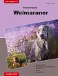 Traumrasse: Weimaraner - Bild 1