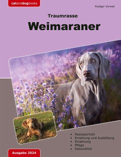 Traumrasse: Weimaraner - Vorwall, Rüdiger