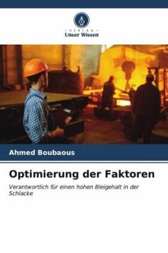 Optimierung der Faktoren - Boubaous, Ahmed