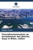Fluoridkontamination im Grundwasser des Bezirks Gaya in Bihar, Indien