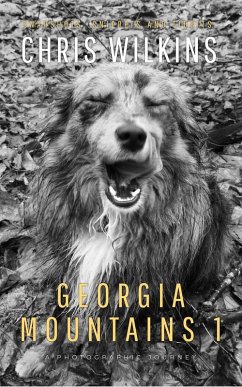 Georgia Mountains 1 (eBook, ePUB) - Wilkins, Chris