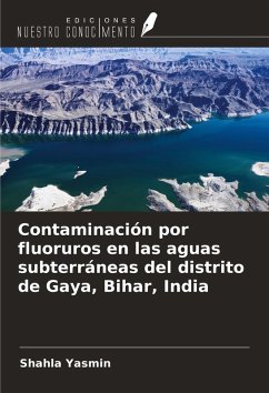 Contaminación por fluoruros en las aguas subterráneas del distrito de Gaya, Bihar, India Cover Contaminación por fluoruros en las aguas subterráneas del distrito de Gaya, Bihar, India