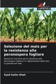 Selezione del mais per la resistenza alla peronospora fogliare