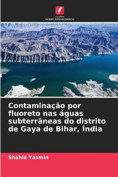 Contaminação por fluoreto nas águas subterrâneas do distrito de Gaya de Bihar, Índia - Yasmin, Shahla