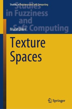 Cover Texture Spaces (eBook, PDF)