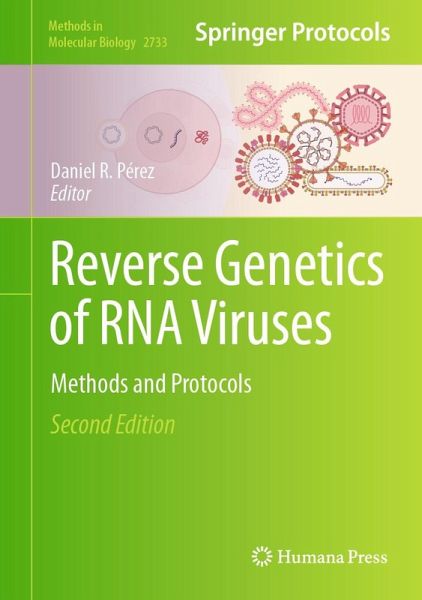 Reverse Genetics of RNA Viruses (eBook, PDF)