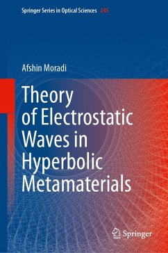 Theory of Electrostatic Waves in Hyperbolic Metamaterials (eBook, PDF) - Moradi, Afshin