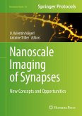 Nanoscale Imaging of Synapses (eBook, PDF)