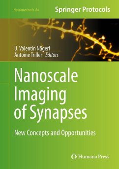 Nanoscale Imaging of Synapses (eBook, PDF)