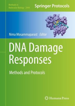 DNA Damage Responses (eBook, PDF)