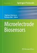 Microelectrode Biosensors (eBook, PDF) - Bild 1