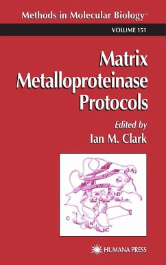 Matrix Metalloproteinase Protocols (eBook, PDF)