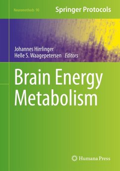 Cover Brain Energy Metabolism (eBook, PDF)