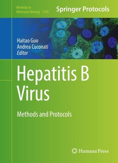 Hepatitis B Virus (eBook, PDF)