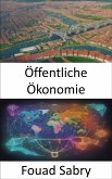 Öffentliche Ökonomie (eBook, ePUB)