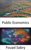 Public Economics (eBook, ePUB)