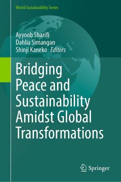 Bridging Peace and Sustainability Amidst Global Transformations (eBook, PDF)