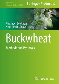 Buckwheat