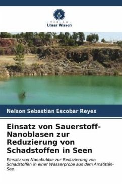 Einsatz von Sauerstoff-Nanoblasen zur Reduzierung von Schadstoffen in Seen - Escobar Reyes, Nelson Sebastian