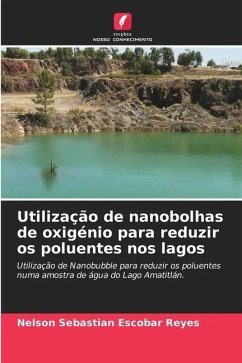 Utilização de nanobolhas de oxigénio para reduzir os poluentes nos lagos - Escobar Reyes, Nelson Sebastian