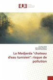 La Medjerda &quote;chateau d'eau tunisien&quote;: risque de pollution