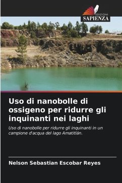 Uso di nanobolle di ossigeno per ridurre gli inquinanti nei laghi - Escobar Reyes, Nelson Sebastian