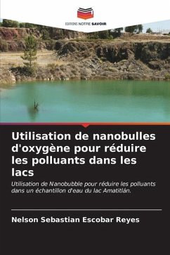 Utilisation de nanobulles d'oxygène pour réduire les polluants dans les lacs - Escobar Reyes, Nelson Sebastian