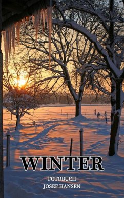 Winter (eBook, ePUB) - Hansen, Josef