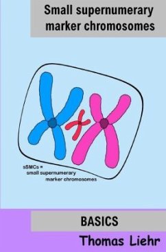 Small supernumerary marker chromosomes - Liehr, Dr. Thomas