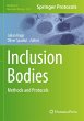 Inclusion Bodies - Bild 1